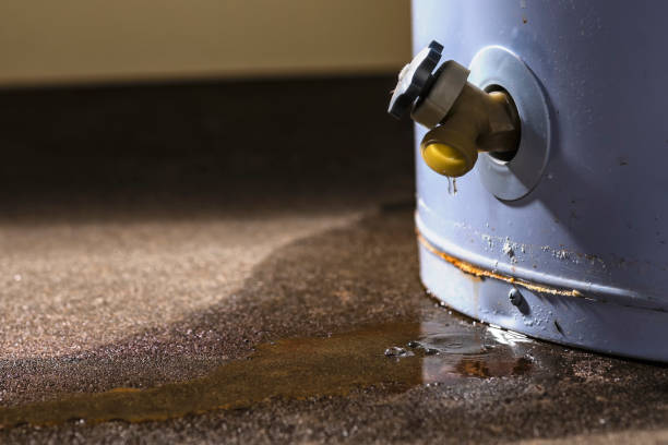 Best Water damage contractors near me  in West Perrine, FL