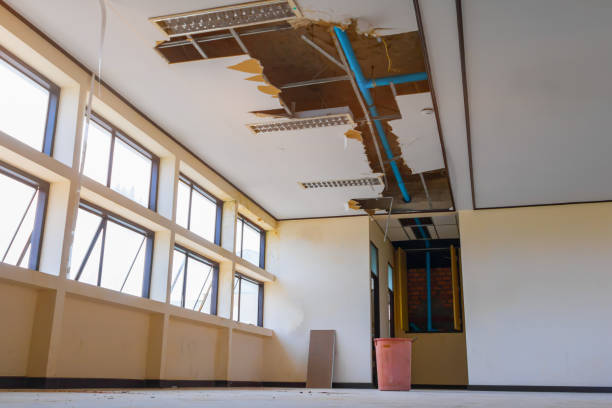 Best Carpet water damage restoration  in West Perrine, FL
