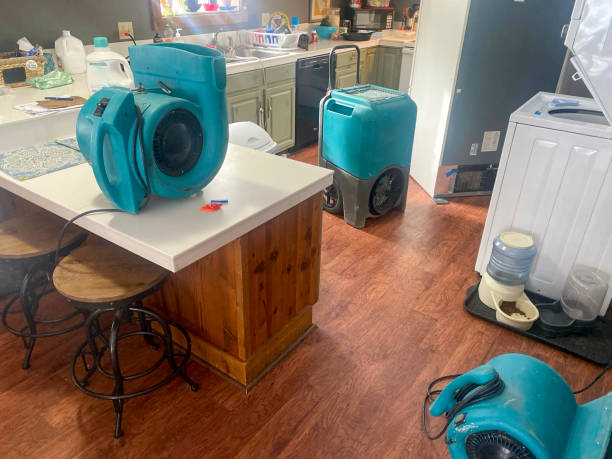 Best Flood restoration services  in West Perrine, FL