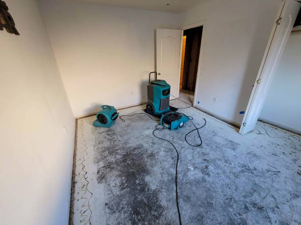 Best Water damage restoration mold remediation  in West Perrine, FL
