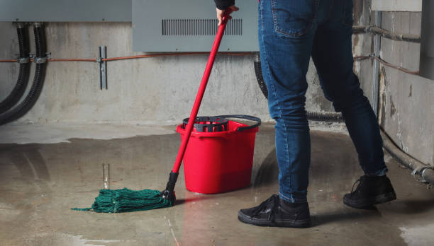 Best Sewage cleanup and water damage restoration  in West Perrine, FL