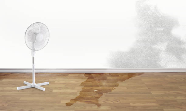 Best Emergency water damage restoration  in West Perrine, FL