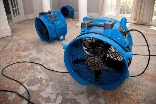 Water damage restoration mold remediation in FL