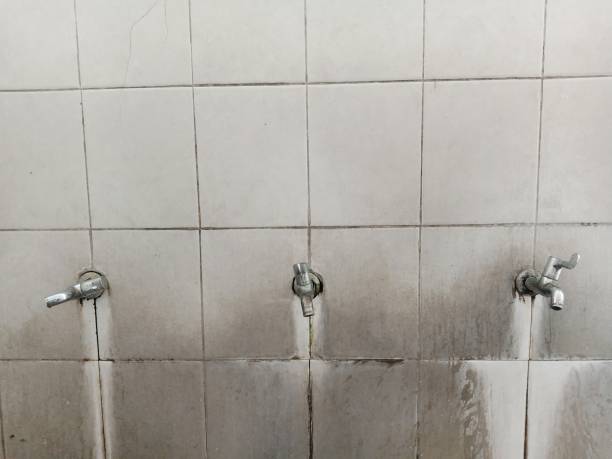 Best Local water damage restoration  in West Perrine, FL