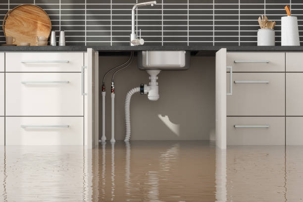 Best Flooded house restoration  in West Perrine, FL