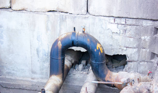 Best Local water damage restoration  in West Perrine, FL